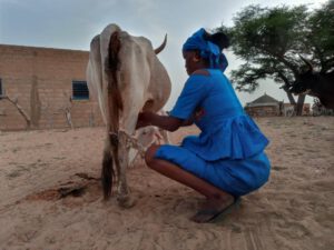 20 AÑOS EN SENEGAL (Migración y cambio climático)