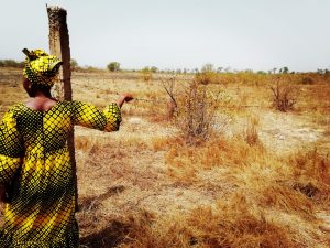 Proyectos para la Resiliencia: Guinea Bissau